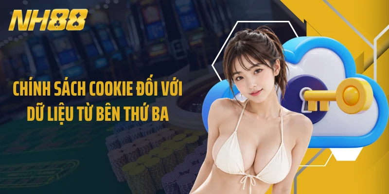Chính sách Cookie đối với dữ liệu từ bên thứ ba